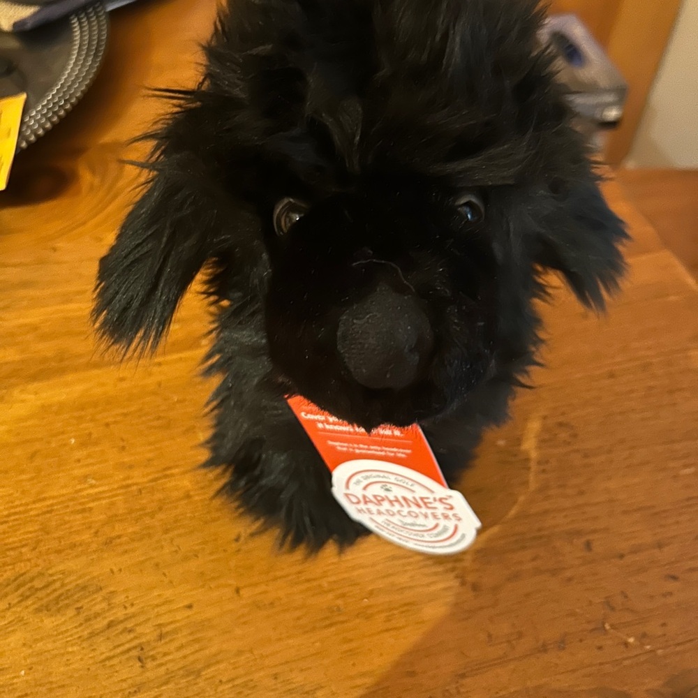 Opalhouse Black Dog Headcover